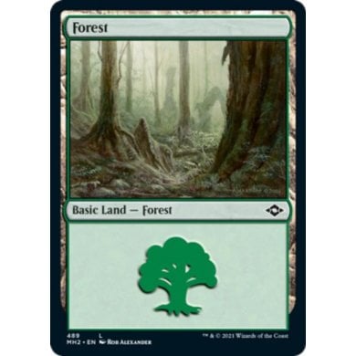 Modern Horizons 2 - 389 : Forest (Etched Foil) (6860670140582)