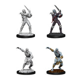 Dungeons & Dragons -  - Nolzur's Marvelous Miniatures - Wight & Ghast - Wave 11