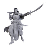 WizKids - Pathfinder Battles - Deep Cuts Miniatures - Desert Giant - Wave 23