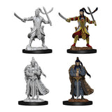 Dungeons & Dragons -  - Nolzur's Marvelous Miniatures - Male Elf Paladin - Wave 9