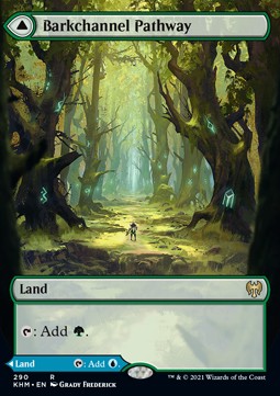 MTG - Kaldheim - 290 : Barkchannel Pathway // Tidechannel Pathway (Foil) (8001880228087)