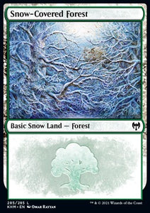 MTG - Kaldheim - 285/285 : Snow-Covered Forest (Foil) (9509518508279)