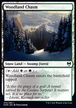 MTG - Kaldheim - 274/285 : Woodland Chasm (Foil) (8290015215863)