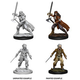 Dungeons & Dragons - Nolzur's Marvelous Miniatures - Vampire Hunters