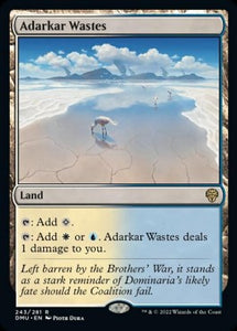 MTG - Dominaria United - 243/281 : Adarkar Wastes (Non Foil) (8290169258231)