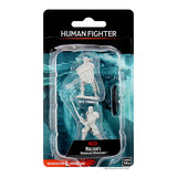 Dungeons & Dragons -  - Nolzur's Marvelous Miniatures - Male Human Fighter - Wave 8