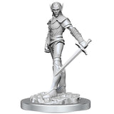 Dungeons & Dragons - Nolzur's Marvelous Miniatures - Drow Fighters - Wave 18