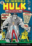 MTG - Marvel Super Heroes - 0390 : Bruce Banner // The Incredible Hulk (Foil) (Borderless)