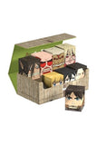 Squaroes - Attack on Titan - Collectors Case - Shiganshina District