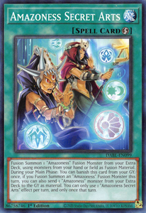 Darkwing Blast - DABL-EN099 : Amazoness Secret Arts (Common) - 1st Edition (7820055806199)