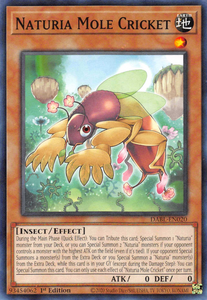 Darkwing Blast - DABL-EN020 : Naturia Mole Cricket (Common) - 1st Edition (7820024447223)