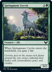 Strixhaven: School Of Mages - 144/275 : Springmane Cervin (Foil) (6847028756646)