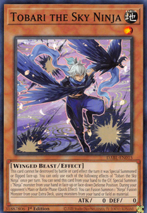 Darkwing Blast - DABL-EN015 : Tobari the Sky Ninja (Common) - 1st Edition (7820022120695)